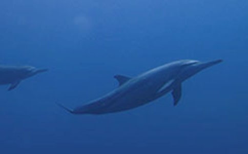 ���{(l��n)ɫ�ĺ����u���x���(�ϼ�15ƪ)