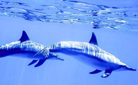 ���{(l��n)ɫ�ĺ����u���x���(���\15ƪ)