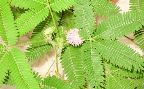 ���߲��^����ӛ(�ϼ�15ƪ)