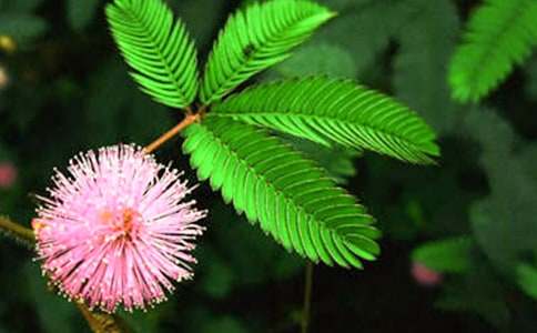 ���߲��^����ӛ(15ƪ)