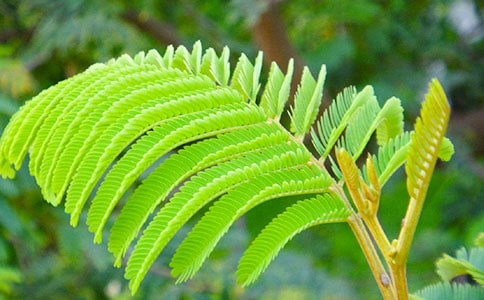 ���߲��^����ӛ��ͨ��21ƪ��