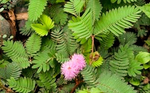 ���߲��^����ӛ