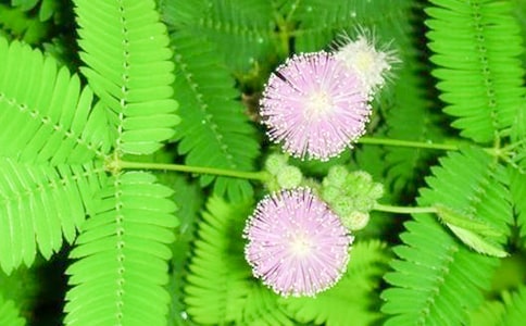 �^�캬�߲ݵ���ӛͨ��15ƪ