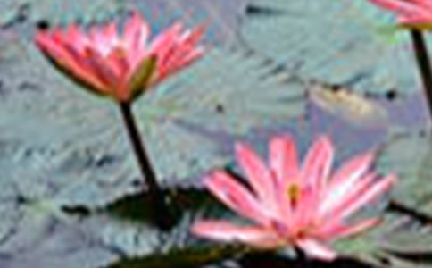 �ɻ��^����ӛ9ƪ