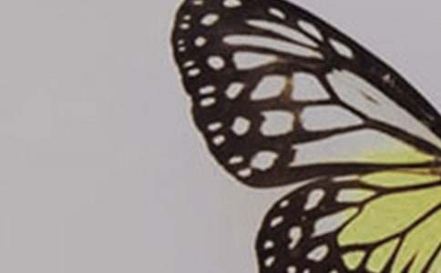 ���h(yu��n)�ĺ����x���