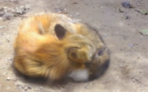 ��؂�c���f�Ĺ���[��15ƪ]