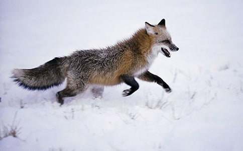 [���A]��؂�c���f�Ĺ���15ƪ