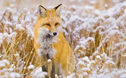 �˲���ĺ�؂�ְ��x���10ƪ