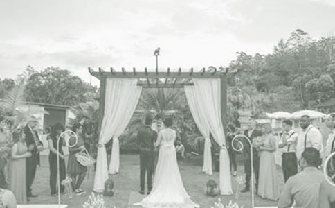 ��Y�C�����C���~����(15ƪ)