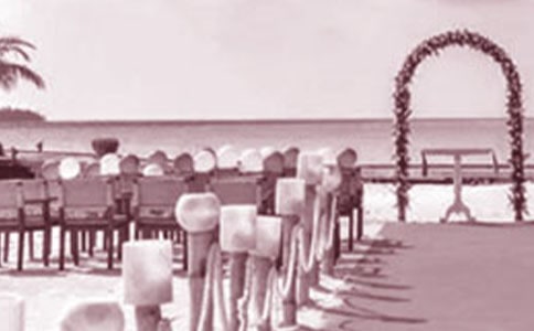 ��Y�t���R�~