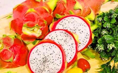 火龍果作文【必備】