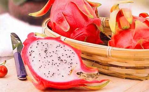 探秘火龍果基地作文