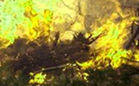 ��ĵ��^��У�ͨ��25ƪ��