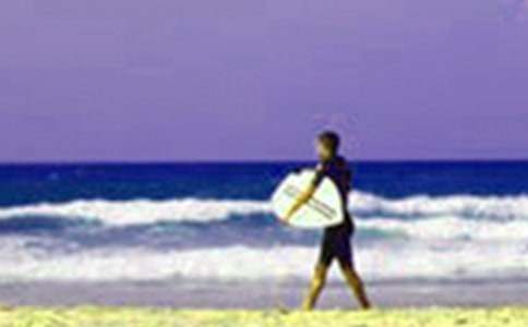 ����Ҋ����300��(����7ƪ)