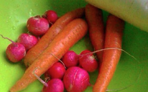 健康安全主題班會