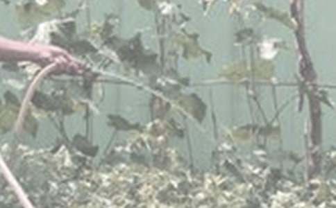 �������D��Ԓһ�꼉(j��)