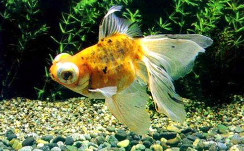 ���~���^����ӛ(15ƪ)