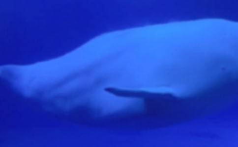 �L�~���������ă�(y��u)�㣨15ƪ��