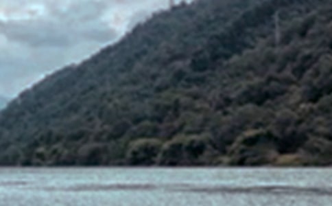 ��ɫ�����Z�