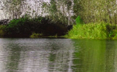 �茑(xi��)��ɫ���~�Z(y��)