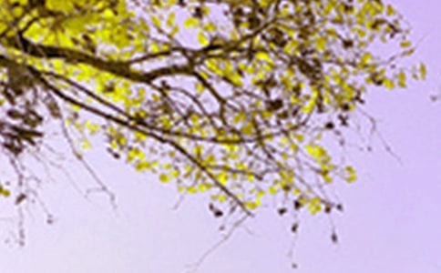 ��(sh��)�õľ�ɫ�ĳ������ąR����ƪ