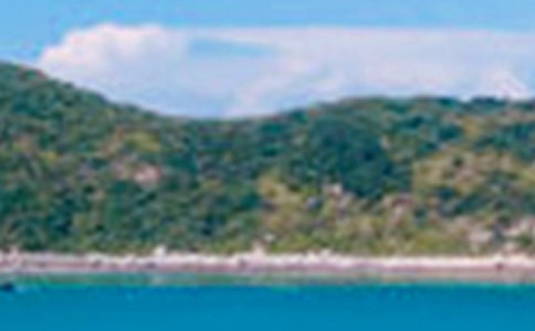 �茑��ɫ���~�Z���؂�15ƪ��