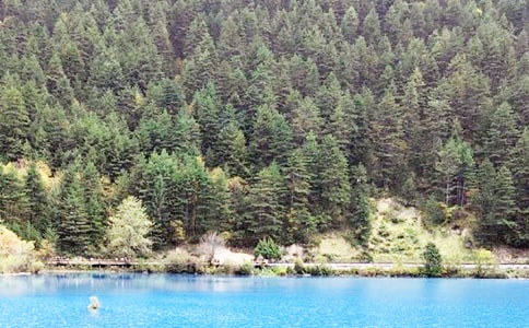 ��կ����ӛ����