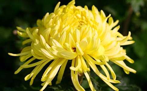 (ͨ��)����ľջ�����