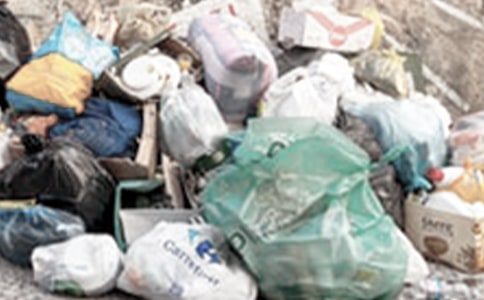 ����ʳƷ����15ƪ�����x��