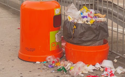 ���y���������D��Ԓ