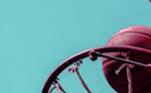 精彩的籃球賽作文必備15篇