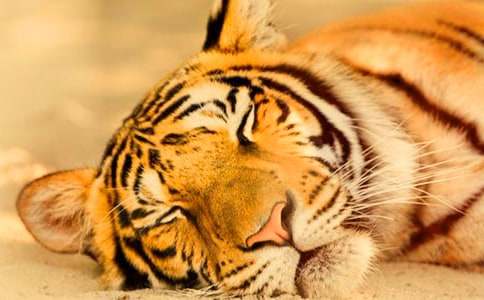 ��С�ϻ��v�U(xi��n)ӛ���x���