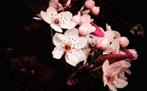 �滨�����ģ��R��15ƪ��