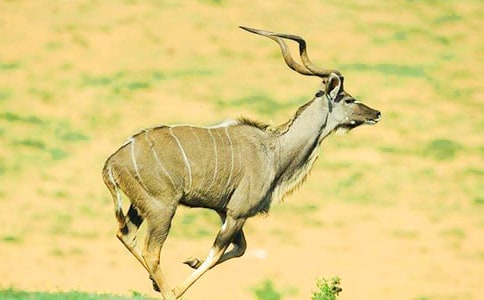 ����ľ���x��У���ȫ15ƪ��