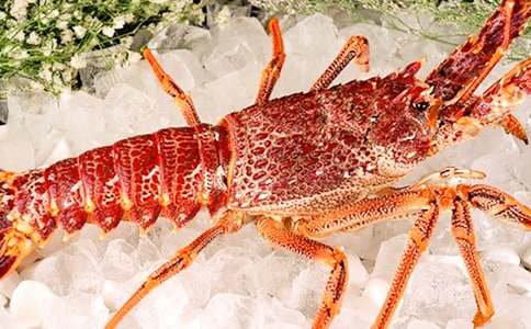 С���r������