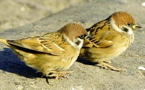 ��ȸ����600�փ�(y��u)��3ƪ