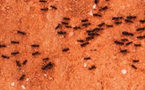 ���P(gu��n)Λρ��ӛ����300���\��10ƪ