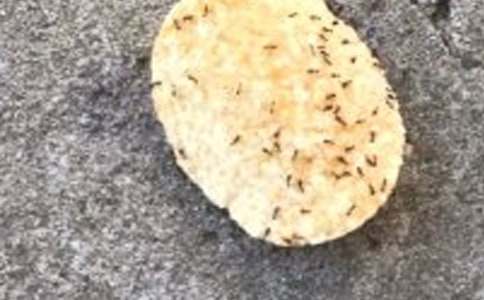 Λρ�^����ӛ���]��