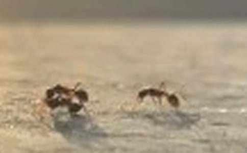 ���PΛρ��ӛ����300�֣����x39ƪ��