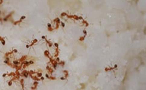 �P(gu��n)��Λρ����ӛ���ļ�����ƪ