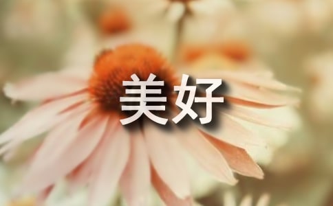 美好的夏夜作文