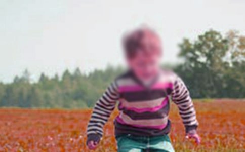 《奇跡男孩》觀后感 通用15篇