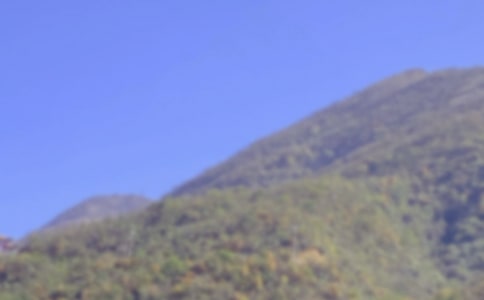 �P(gu��n)����ɽ������