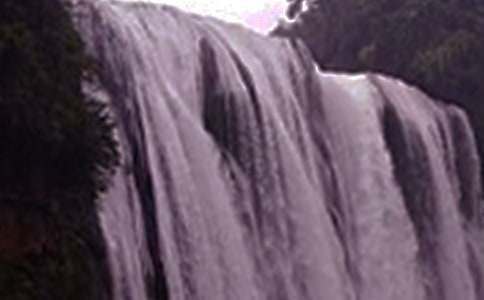 《紫藤蘿瀑布》讀后感(13篇)