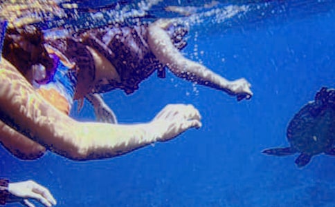 ���]����ˮ������