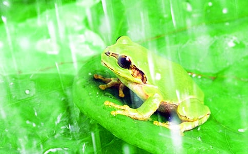 �������ӵ��x���15ƪ