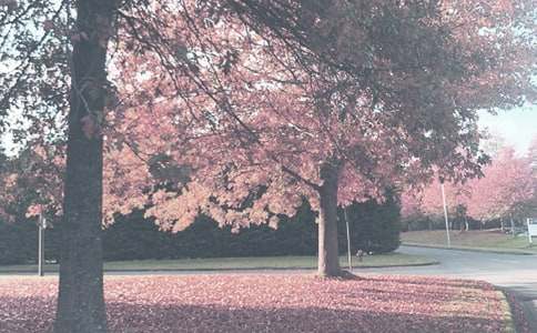 �＾��(y��u)������