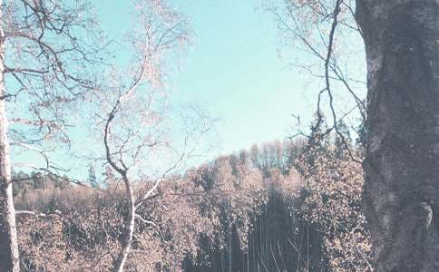 С���＾�u�Z