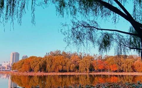 ���õ���������600��50ƪ