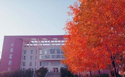 ���ռ�������600�֣����x50ƪ��